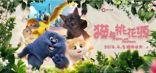 娱乐吃瓜君与猫,揭秘娱乐圈的萌宠生活